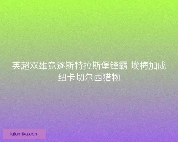 英超双雄竞逐斯特拉斯堡锋霸 埃梅加成纽卡切尔西猎物